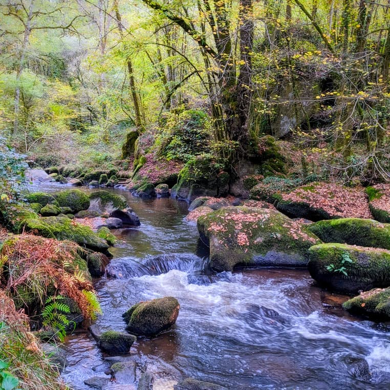 Ruisseau dans le Périgord Vert